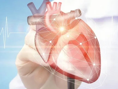Postdoctoral Researcher in Cardiovascular Genetics and Functional Genomics of Congenital Heart Diseases