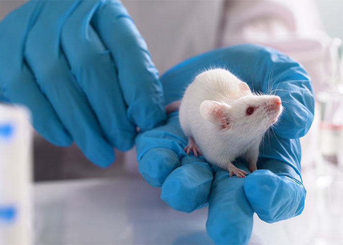 Technicien-ne en expérimentation animale 