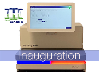 GenoBiRD acquires the latest high-throughput sequencer generation